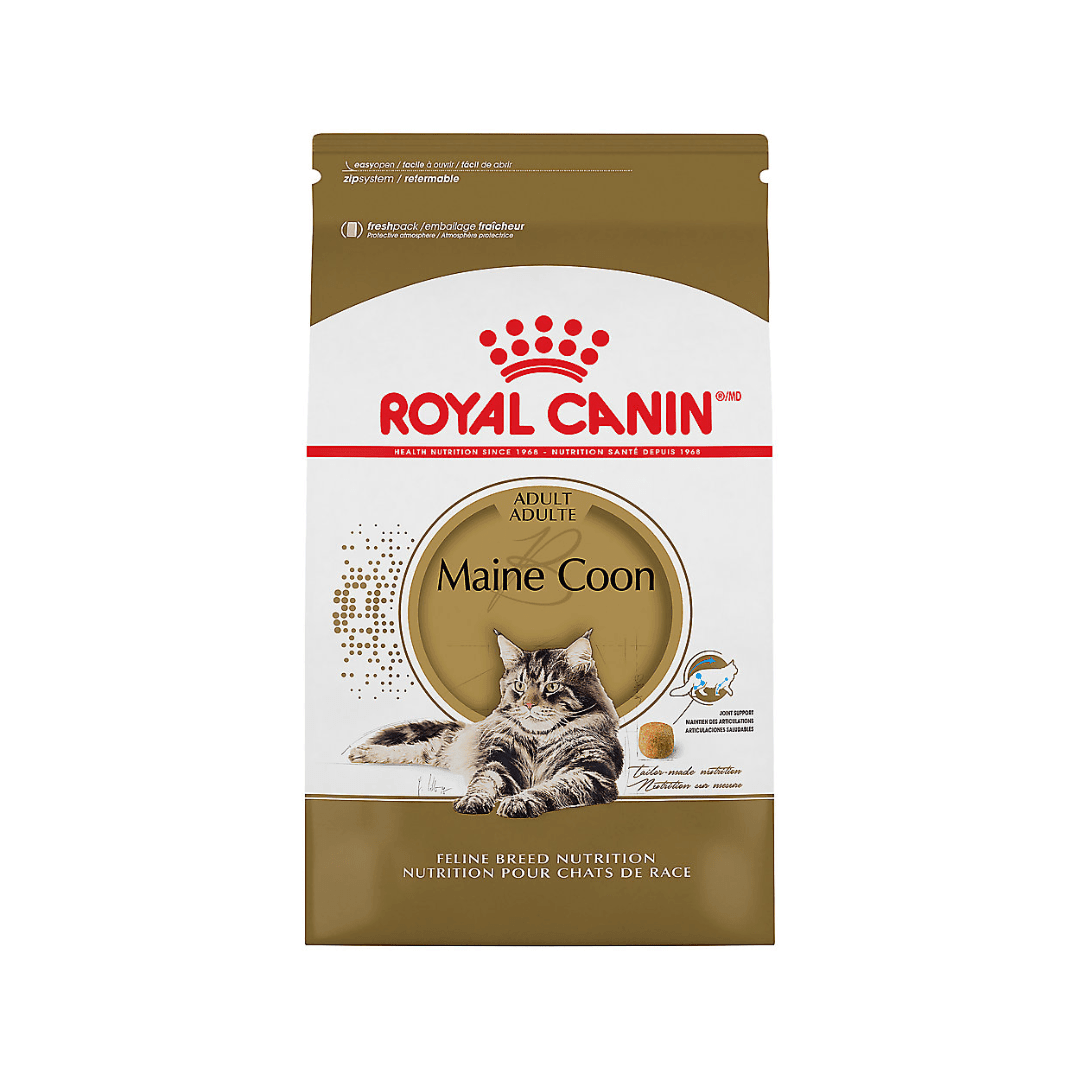 Royal Canin Dry Cat Food - Maine Coon - Toronto Pets