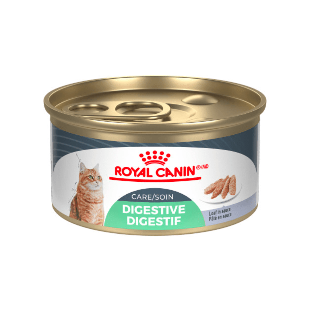 Royal Canin Wet Cat Food - Digestive Care Loaf In Sauce Canned - Toronto Pets