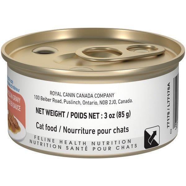 Royal Canin Wet Cat Food - Indoor Adult Morsels in Gravy Canned - Toronto Pets