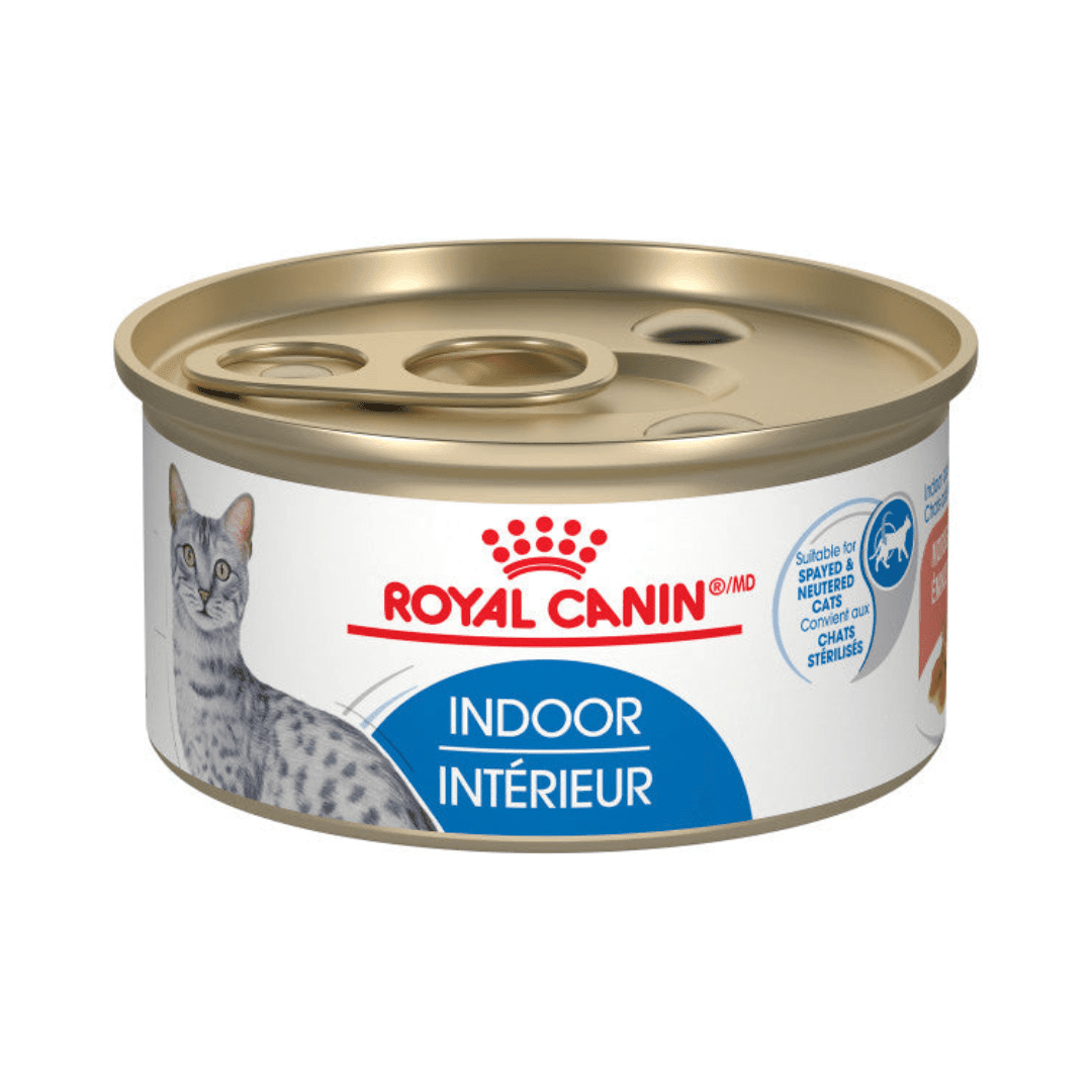 Royal Canin Wet Cat Food - Indoor Adult Morsels in Gravy Canned - Toronto Pets