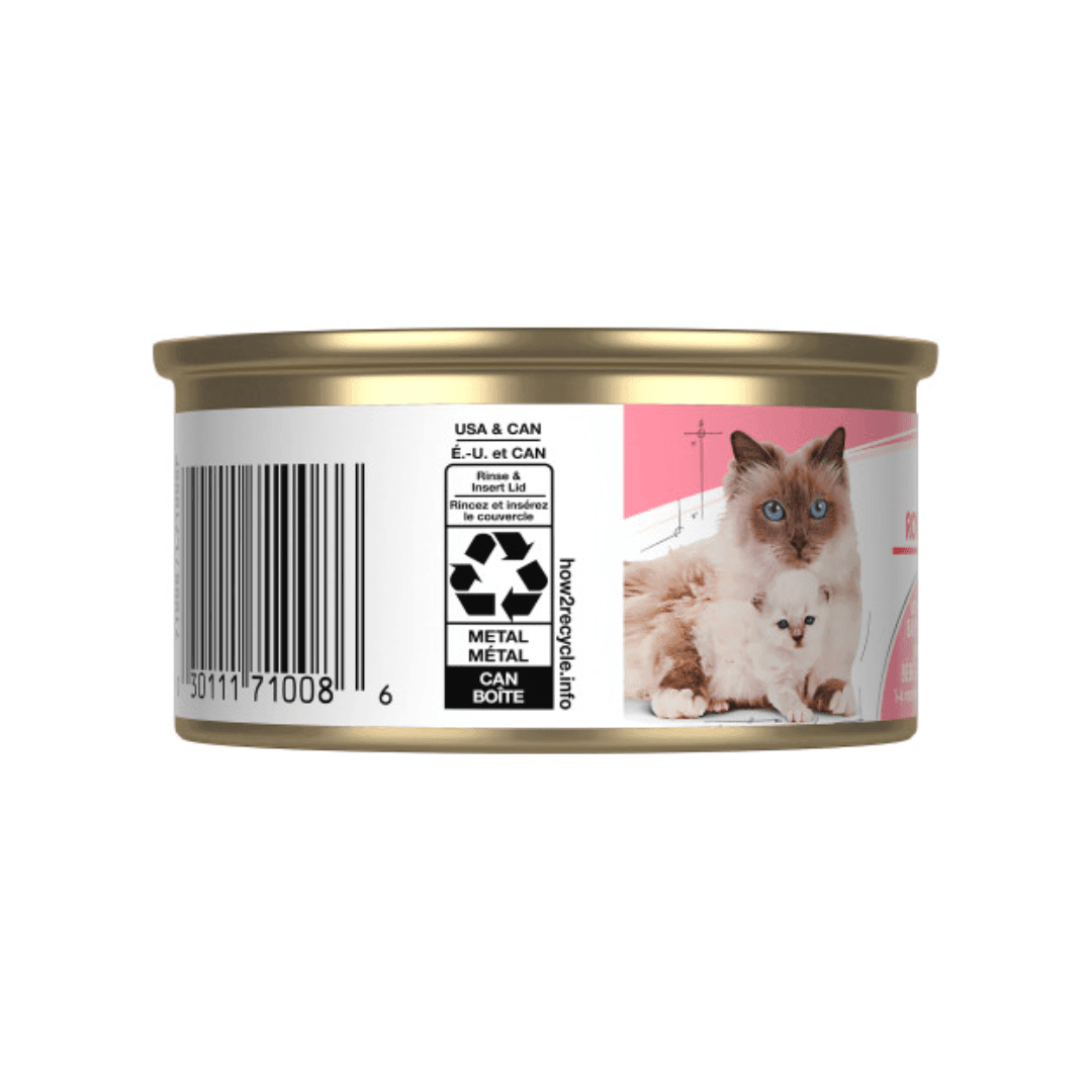 Royal Canin Wet Cat Food - Mother & Babycat Ultra Soft Mousse Canned - Toronto Pets