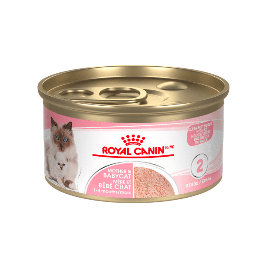 Royal Canin Wet Cat Food - Mother & Babycat Ultra Soft Mousse Canned - Toronto Pets