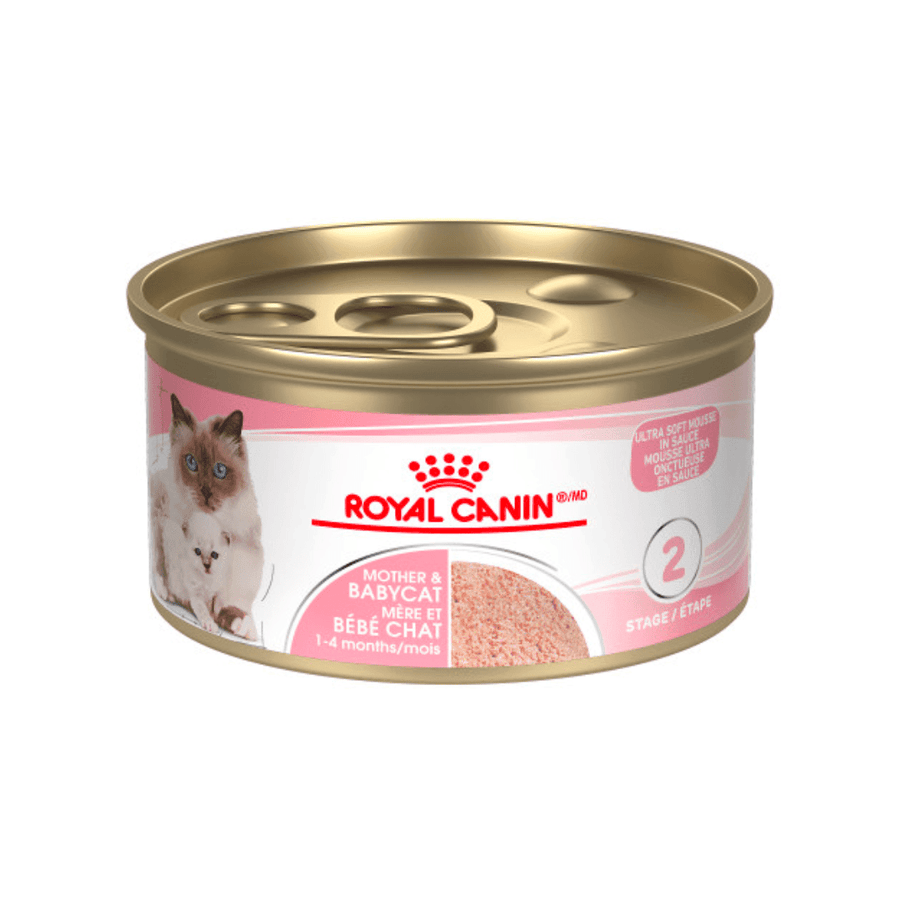 Royal Canin Wet Cat Food - Mother & Babycat Ultra Soft Mousse Canned - Toronto Pets