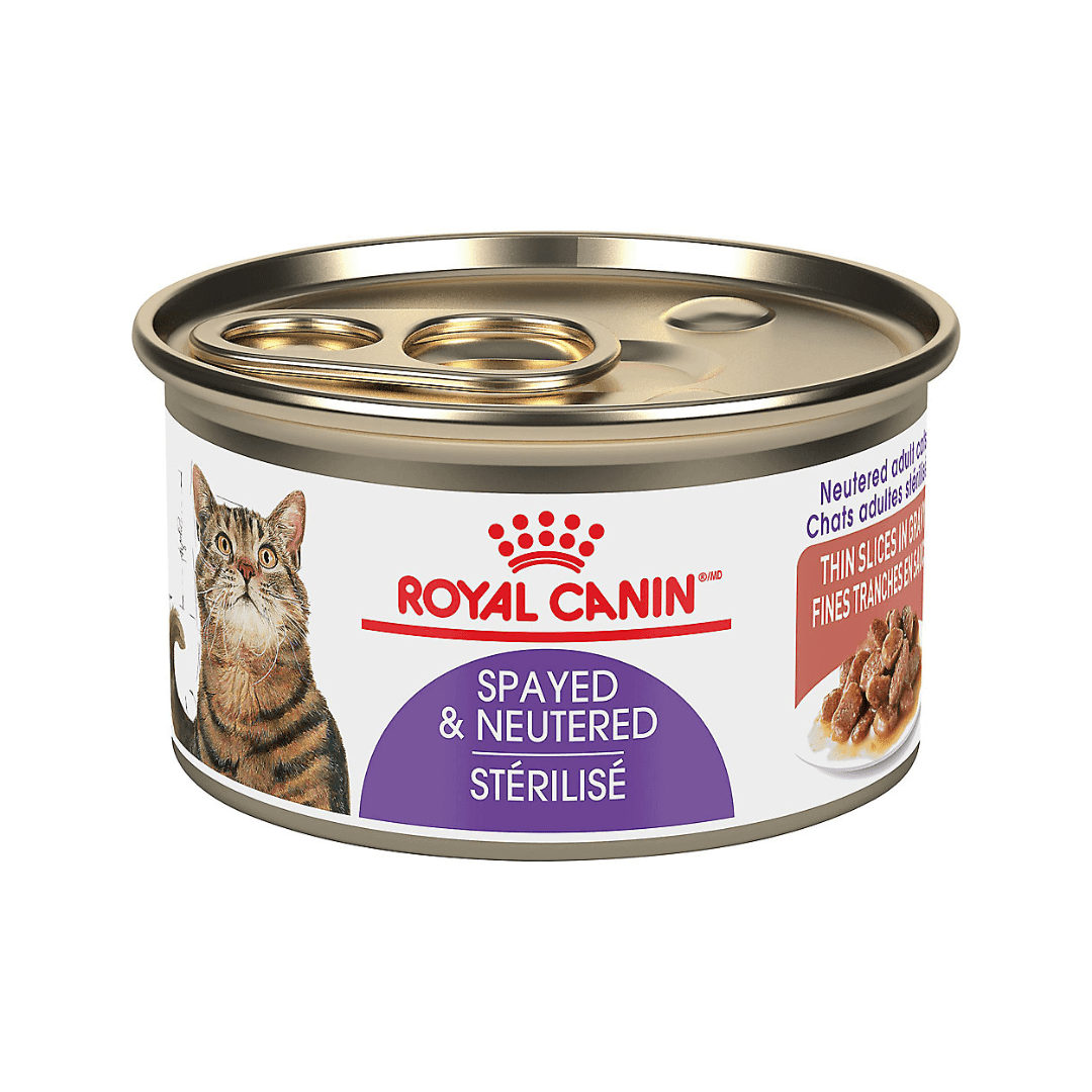 Royal Canin Wet Cat Food - Spayed or Neutered Loaf in Sauce Canned - Toronto Pets