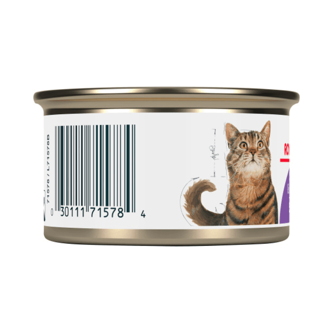 Royal Canin Wet Cat Food - Spayed or Neutered Thin Slices In Gravy Canned - Toronto Pets