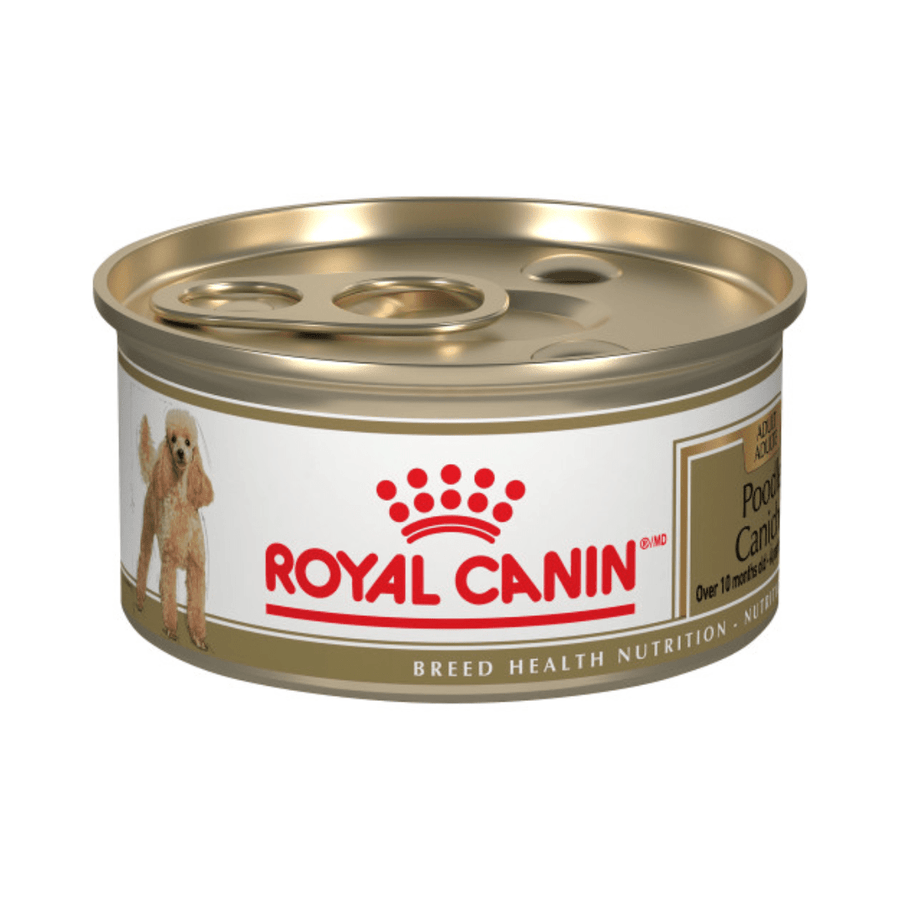 Royal Canin Wet Dog Food - Poodle Loaf in Sauce Canned - Toronto Pets