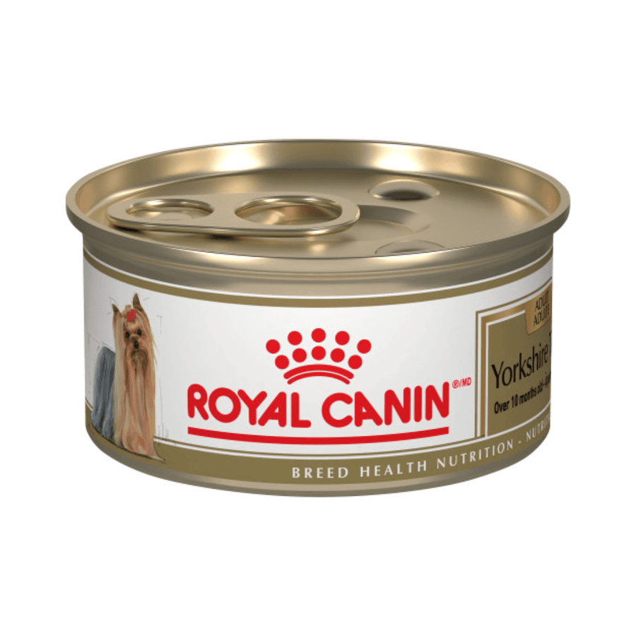 Royal Canin Wet Dog Food - Yorkshire Terrier Loaf in Sauce Canned - Toronto Pets