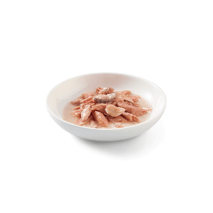 Schesir Wet Cat Food - Tuna Entree with Pilchards in Natural Gravy Canned - Toronto Pets