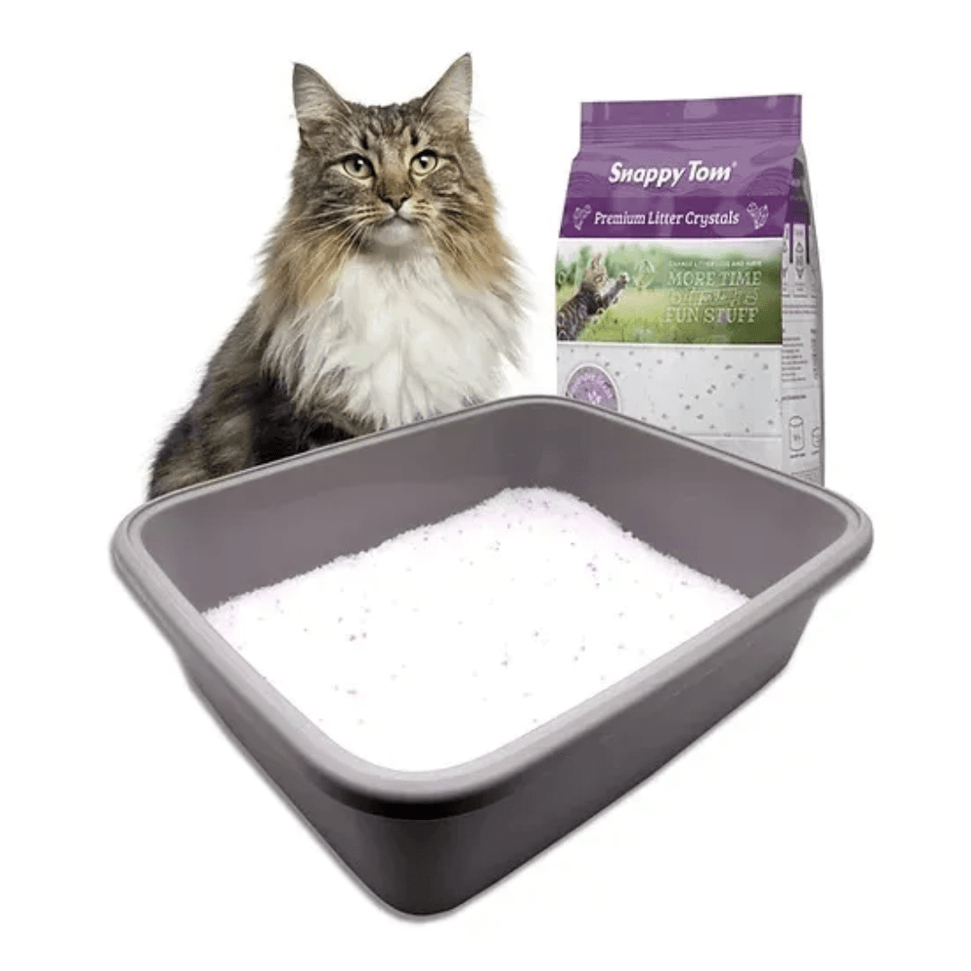 Snappy Tom Cat Litter - Premium Crystal Lavender Scented - Toronto Pets