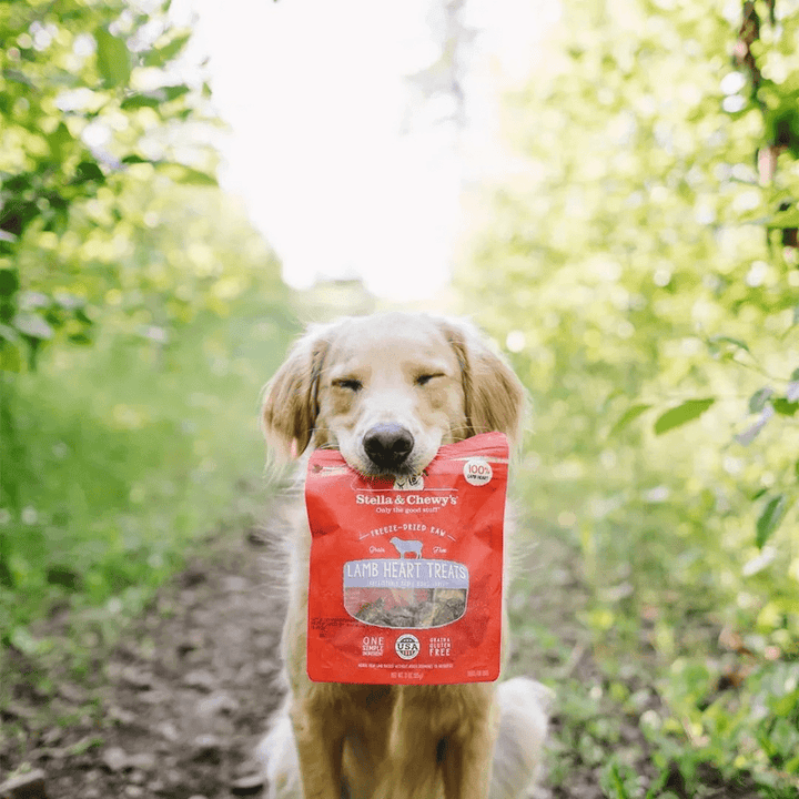 Stella & Chewy's Freeze - Dried Dog Treats - Raw Lamb Heart - Toronto Pets