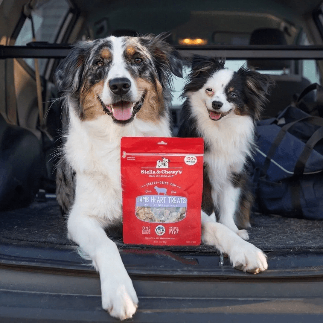 Stella & Chewy's Freeze - Dried Dog Treats - Raw Lamb Heart - Toronto Pets