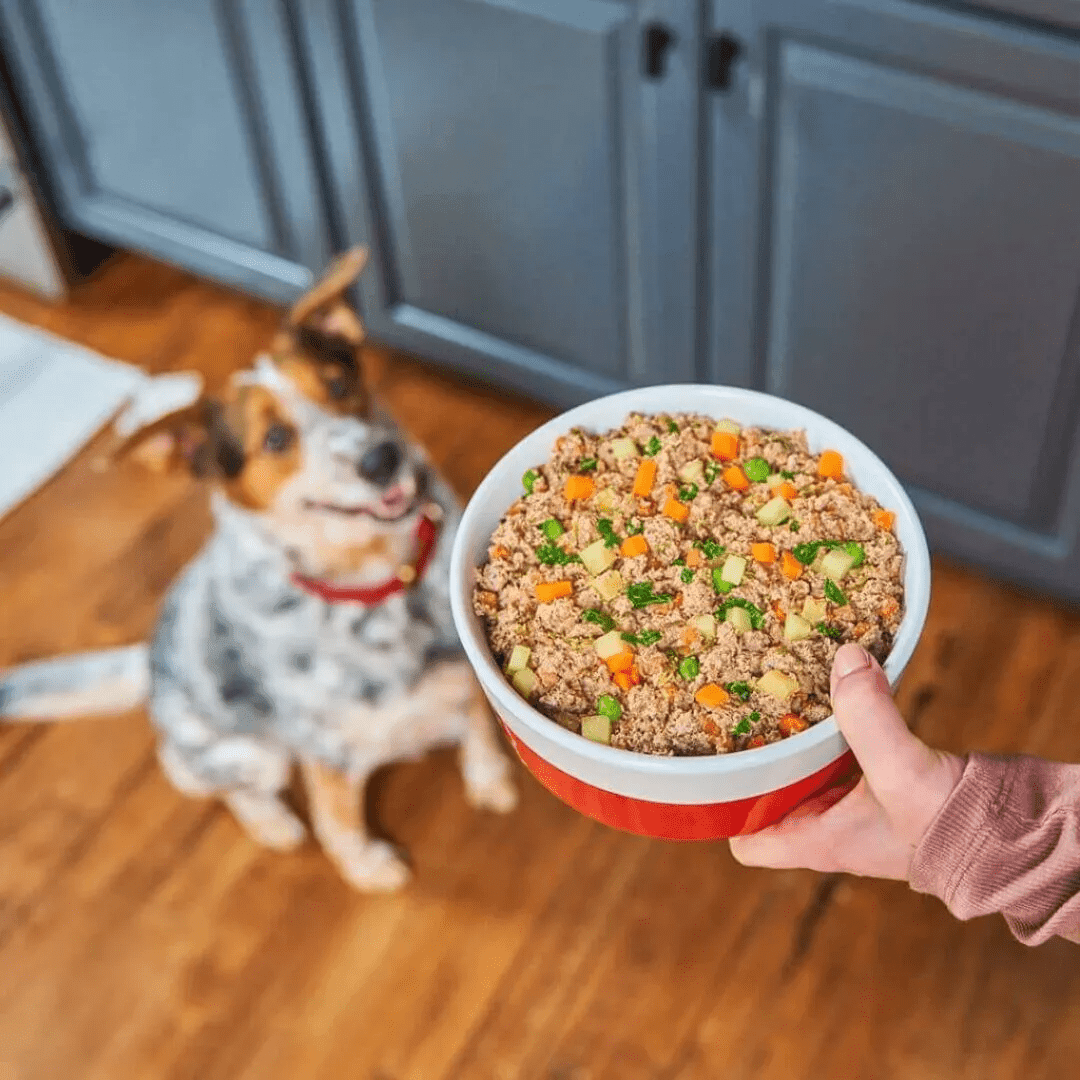 Stella & Chewy's Frozen Dog Food - FreshMade Gently Cooked Beefy - Licious - Toronto Pets