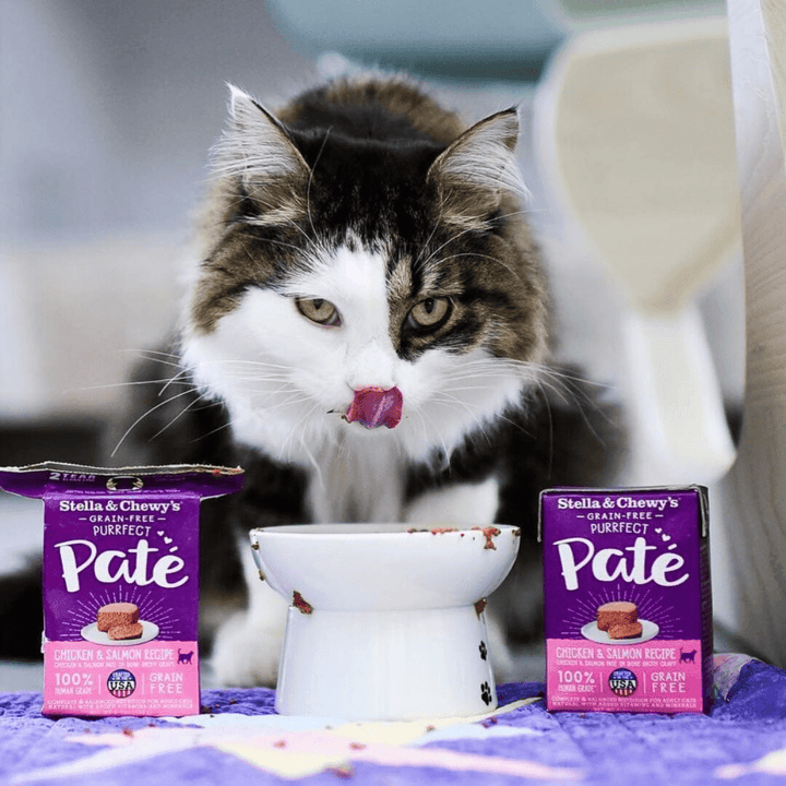 Stella & Chewy's Wet Cat Food - Purrfect Pate Chicken & Salmon Medley - Toronto Pets