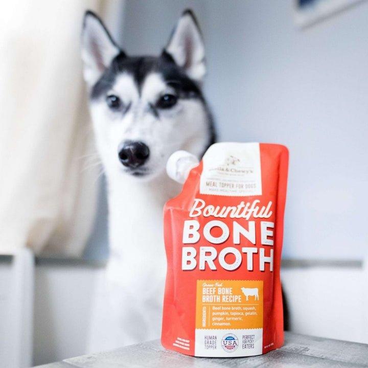 Stella & Chewy's Wet Dog Food - Bountiful Bone Broth Grass Fed Beef - Toronto Pets