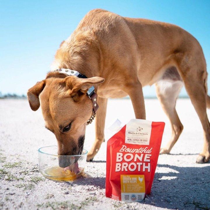 Stella & Chewy's Wet Dog Food - Bountiful Bone Broth With Cage Free Chicken - Toronto Pets