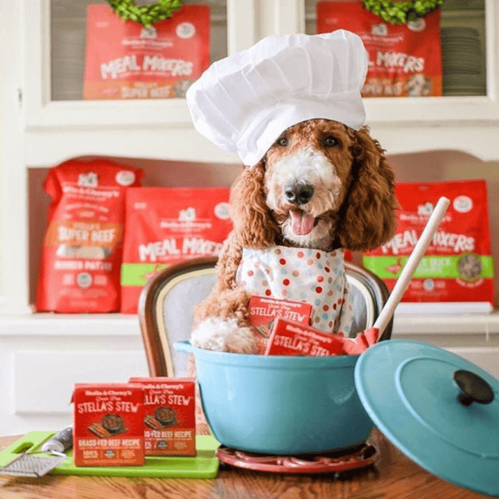 Stella & Chewy's Wet Dog Food - Grass - Fed Beef Stew - Toronto Pets