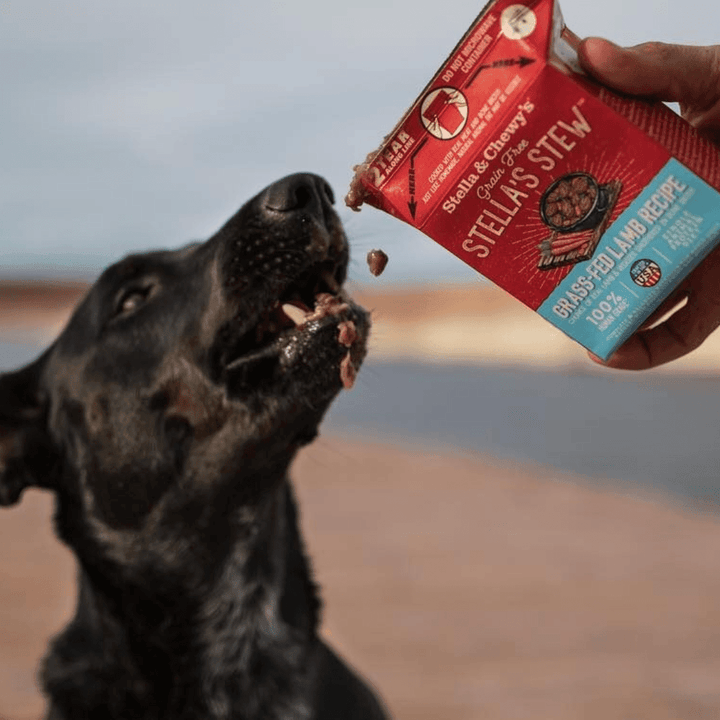 Stella & Chewy's Wet Dog Food - Grass - Fed Lamb Stew - Toronto Pets