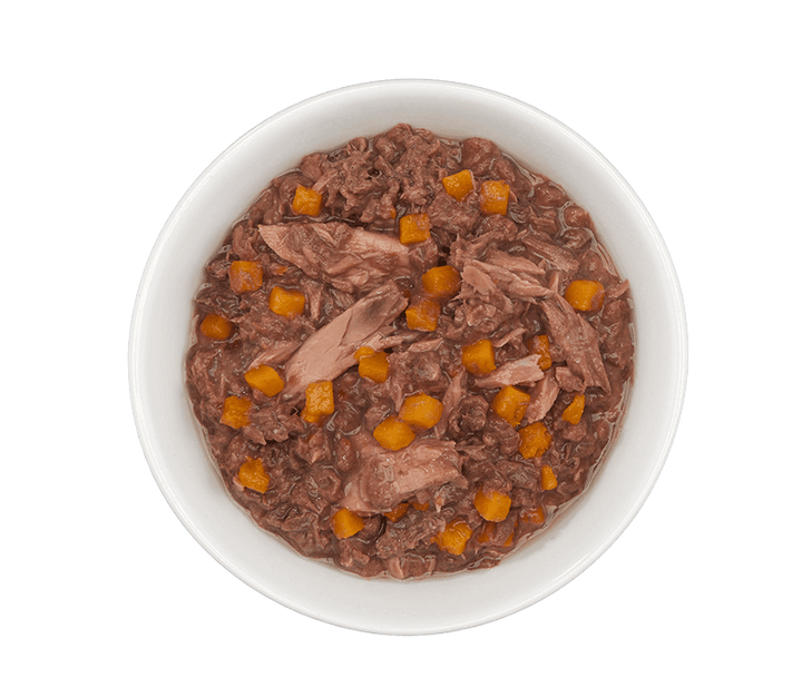 Tiki Cat Wet Cat Food - Aloha Friends Tuna & Pumpkin in Broth Canned - Toronto Pets