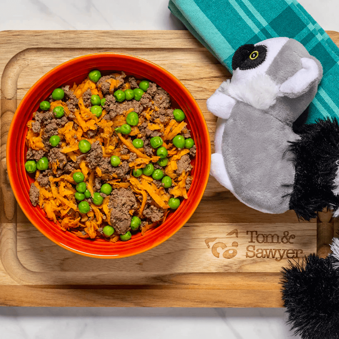 Tom & Sawyer Dog Food - Beef & Broccoli - Toronto Pets