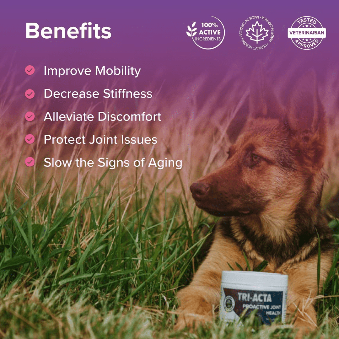 Tri - Acta H.A. Dog and Cat Supplements - Proactive Joint Health Regular Strength - Toronto Pets