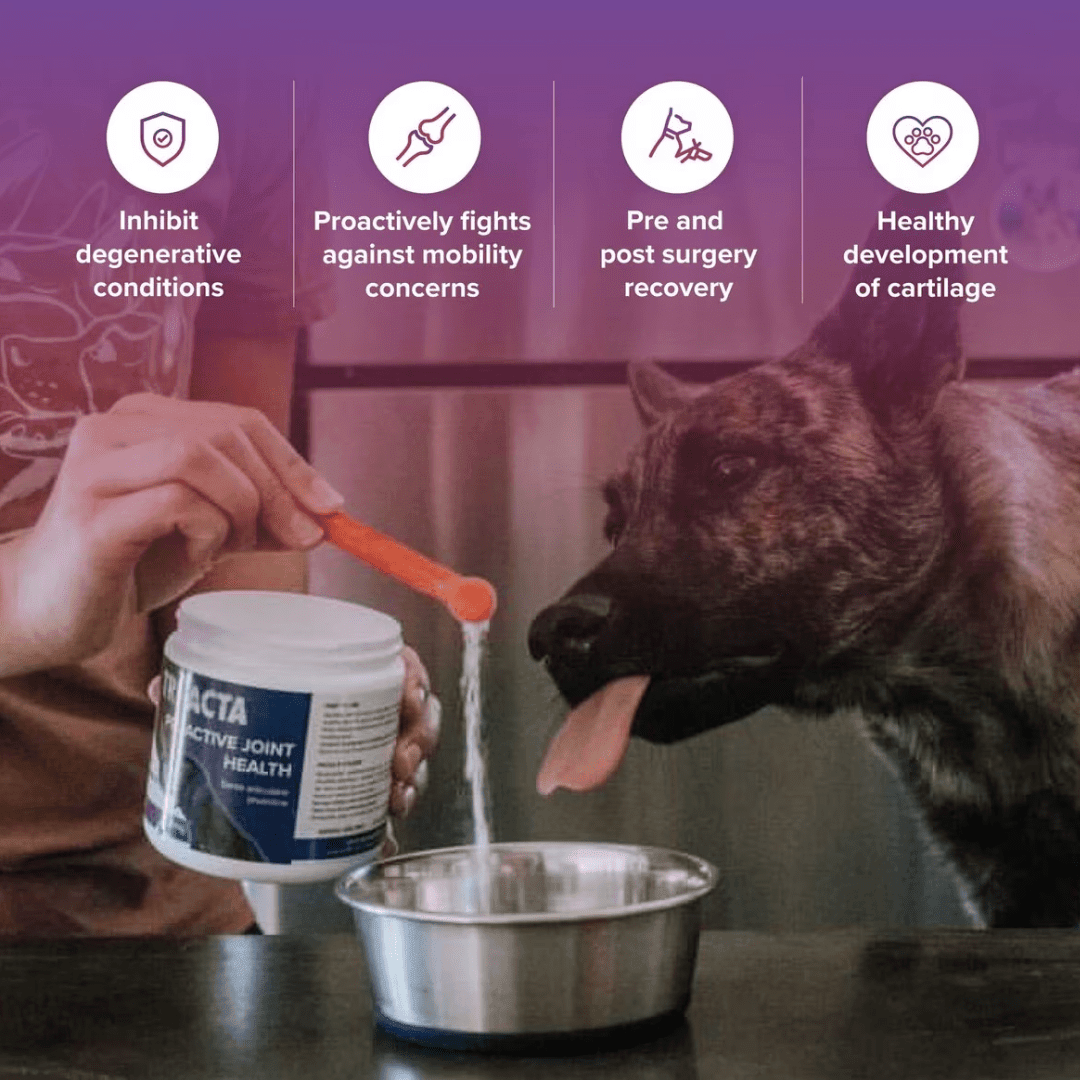 Tri - Acta H.A. Dog and Cat Supplements - Proactive Joint Health Regular Strength - Toronto Pets