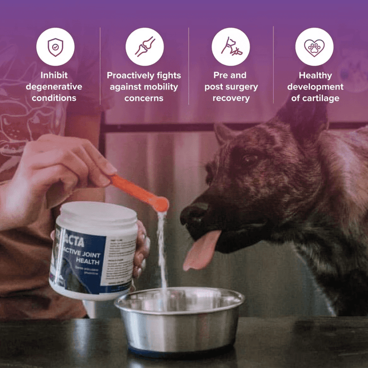 Tri - Acta H.A. Dog and Cat Supplements - Proactive Joint Health Regular Strength - Toronto Pets