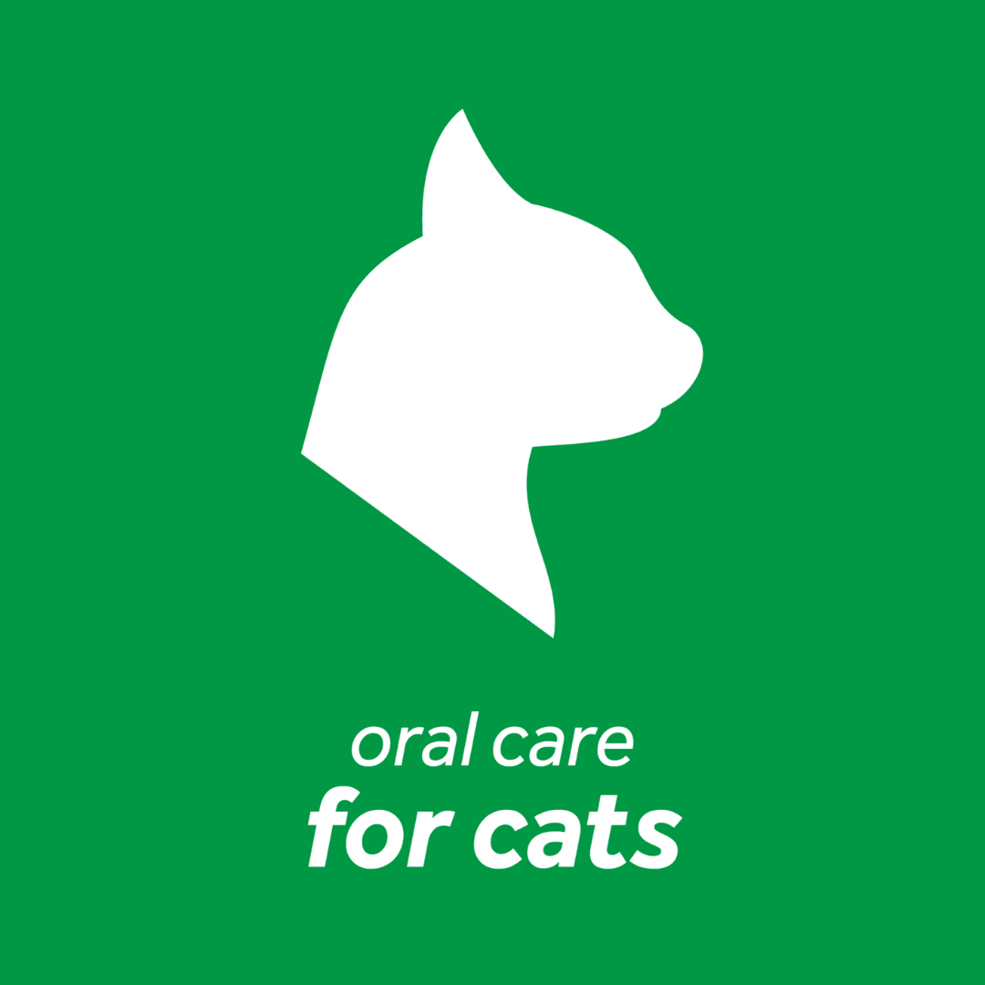 Tropiclean Cat Dental Care - Fresh Breath Dental Health Solution - Toronto Pets