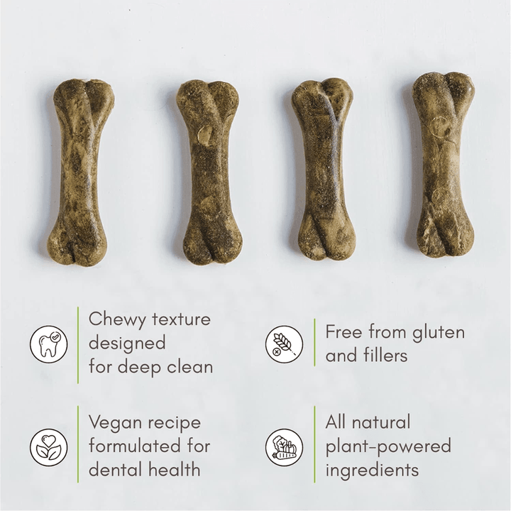 V - Planet Dry Dog Treats - Vegan Breathbones Dental Treats - Toronto Pets