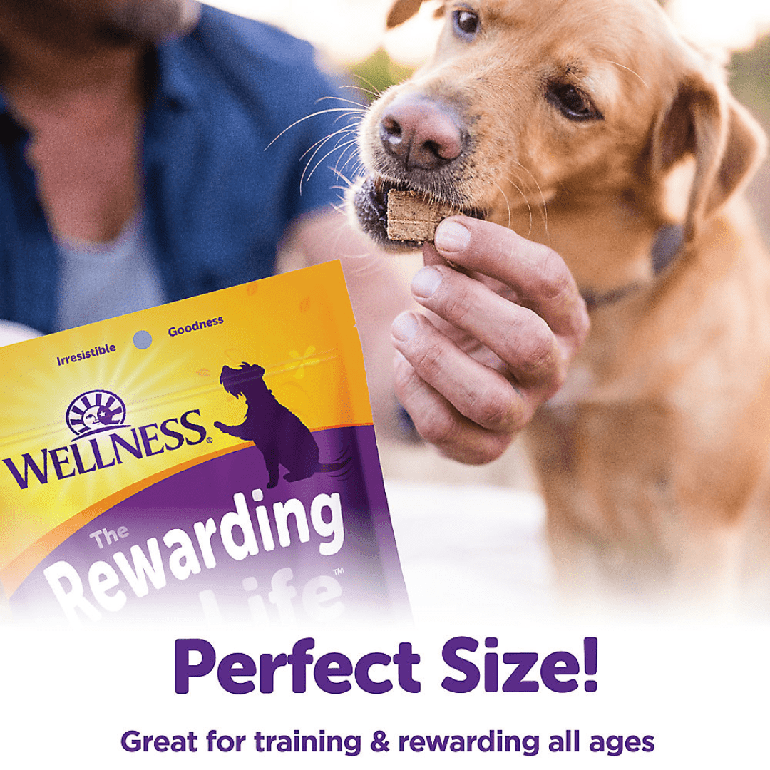 Wellness Dog Treats - The Rewarding Life Turkey & Duck Recipe Dog - Toronto Pets