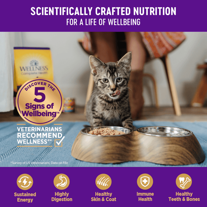 Wellness Wet Cat Food - Complete Health Age Advantage Chicken Entree Canned - Toronto Pets