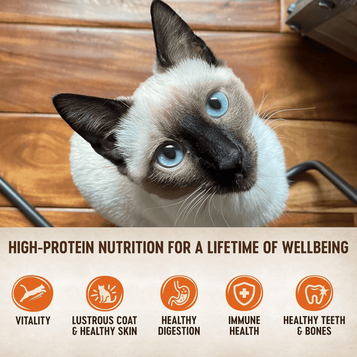 Wellness Wet Cat Food - Core Beef, Venison, & Lamb Pate Canned - Toronto Pets