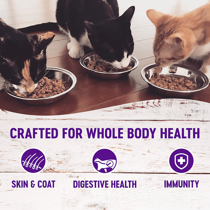 Wellness Wet Cat Food - Healthy Indulgence Morsels Salmon & Tuna Pouch - Toronto Pets