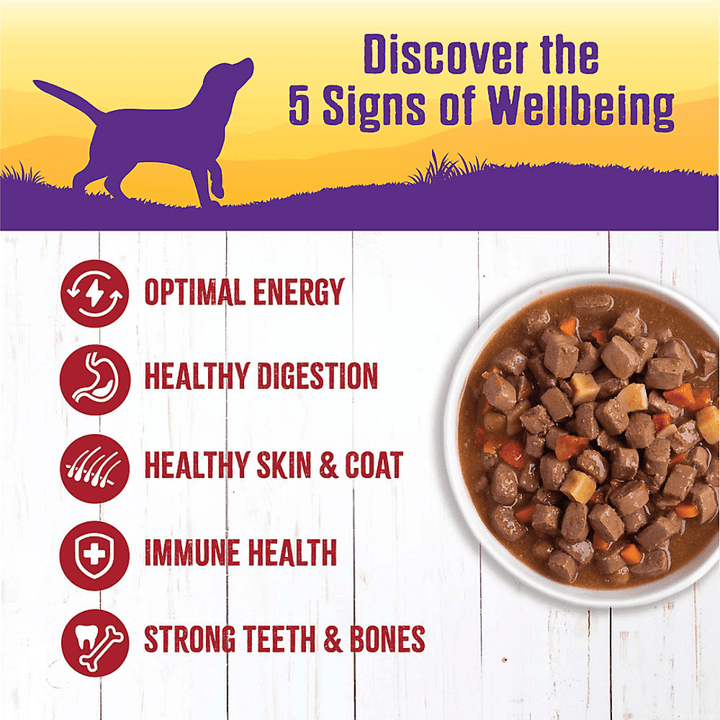 Wellness Wet Dog Food - Beef Stew Canned - Toronto Pets