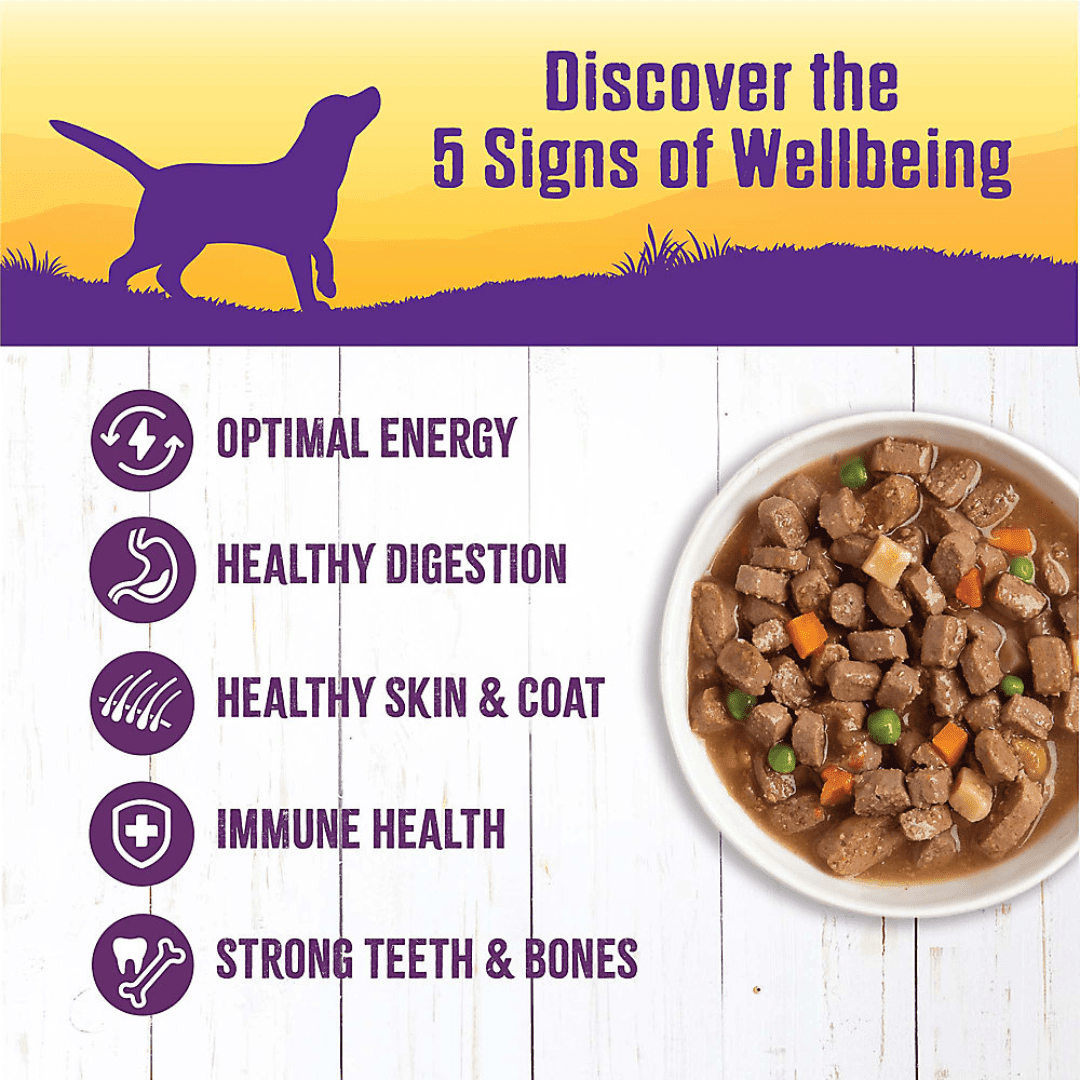 Wellness Wet Dog Food - Chicken Stew Canned - Toronto Pets