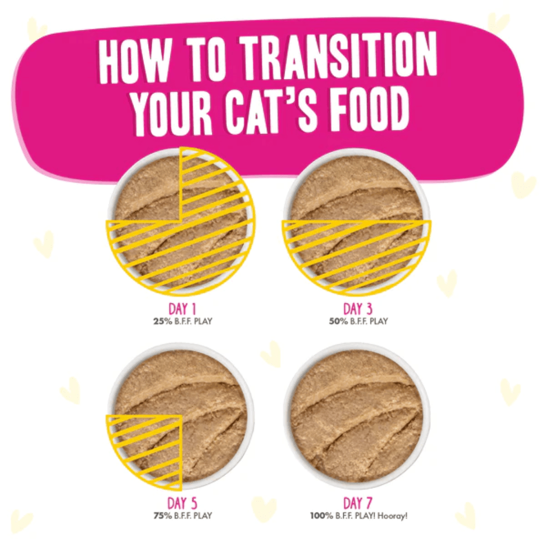 Weruva Cat Wet - BFF PLAY Paté Chicken, Duck & Turkey Take a Chance in a Hydrating Purée Canned - Toronto Pets